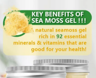 L-NinYO premium organic seamoss gel 100% natural