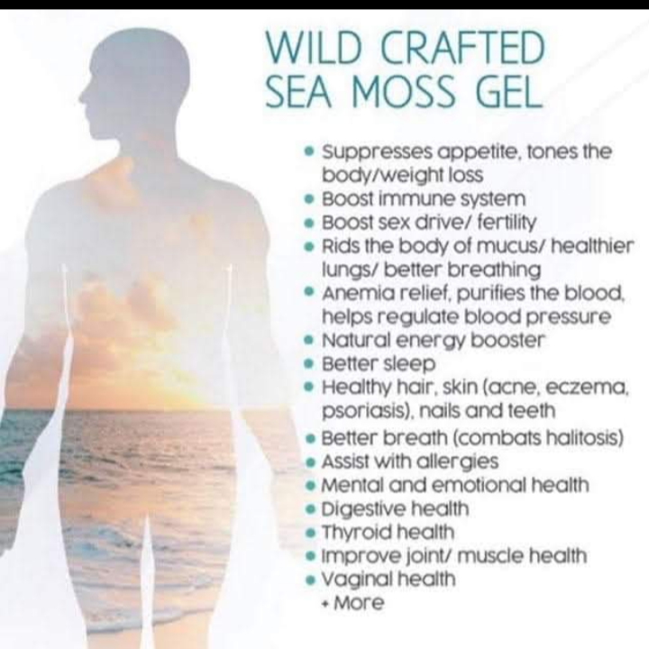 L-NinYO premium organic seamoss gel 100% natural