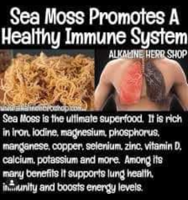 L-NinYO premium organic seamoss gel 100% natural