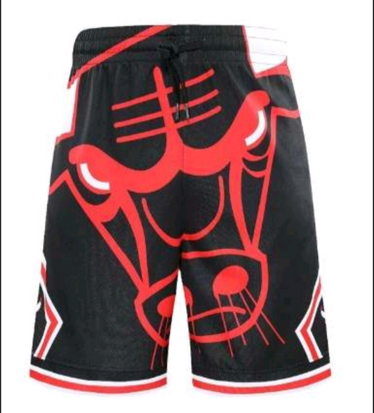 Chicago bulls shorts